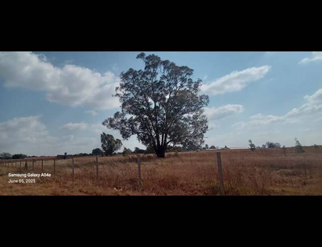 LAND FOR SALE IN ELOFF